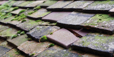 Mountsorrel roof repair costs